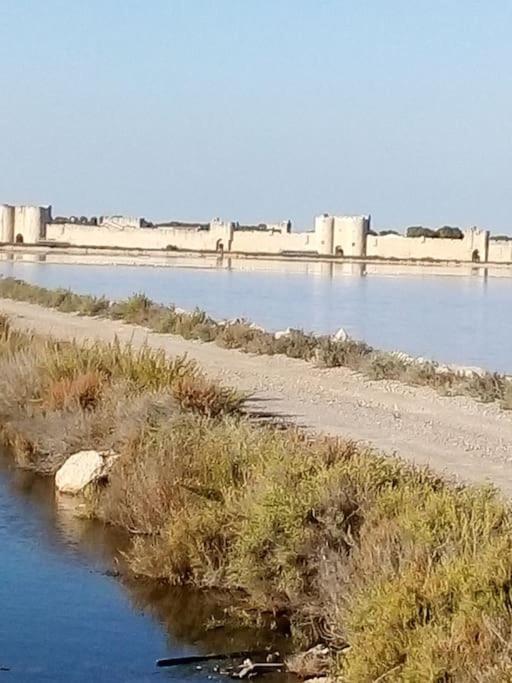Aigues Mortes Studio De Vacances En Camargue Buitenkant foto